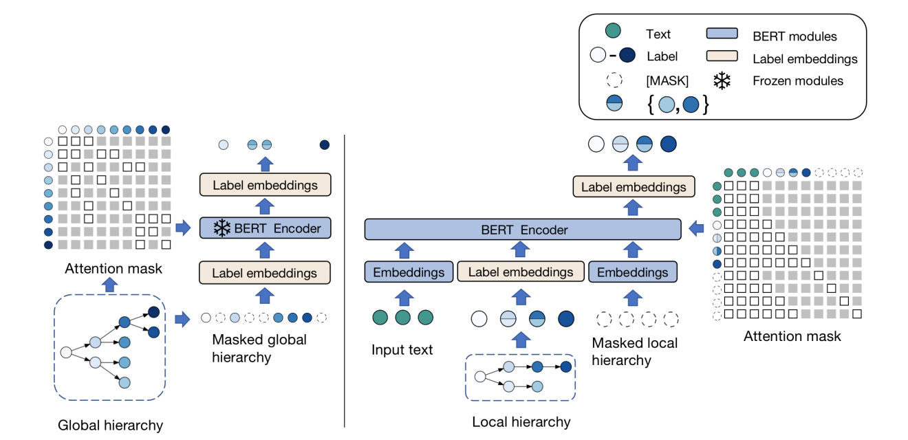 Exploiting Global and Local Hierarchies for Hierarchical Text Classification